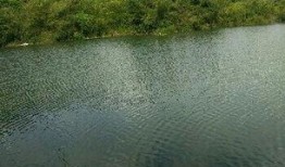 东风水库爆料最新消息,揭秘工程进展与未来规划”